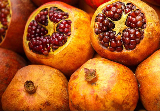 Sirenovyi Pomegranate - Raintree Nursery