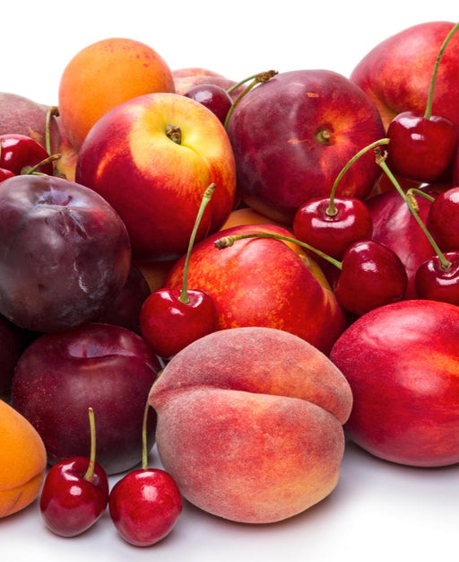 Fruit Cocktail (3 Varieties) - Raintree Nursery