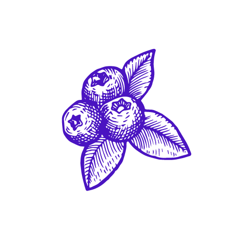 Berries