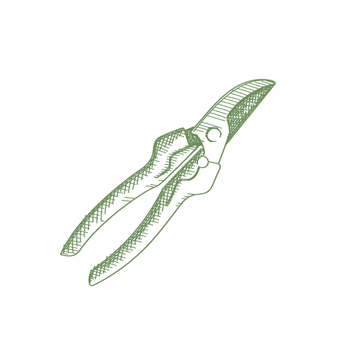 Orchard Supplies & Tools