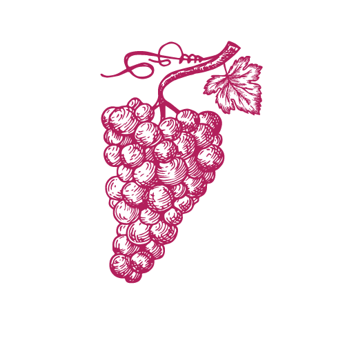 Vines